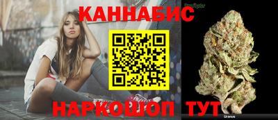 стафф Новокубанск