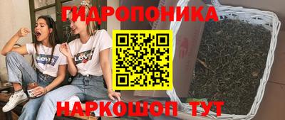 стафф Новокубанск
