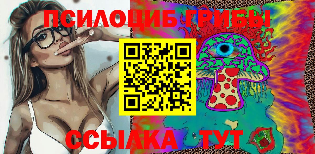 Сертолово  Галлюциногенные грибы Psilocybine cubensis  Вход с VPN 