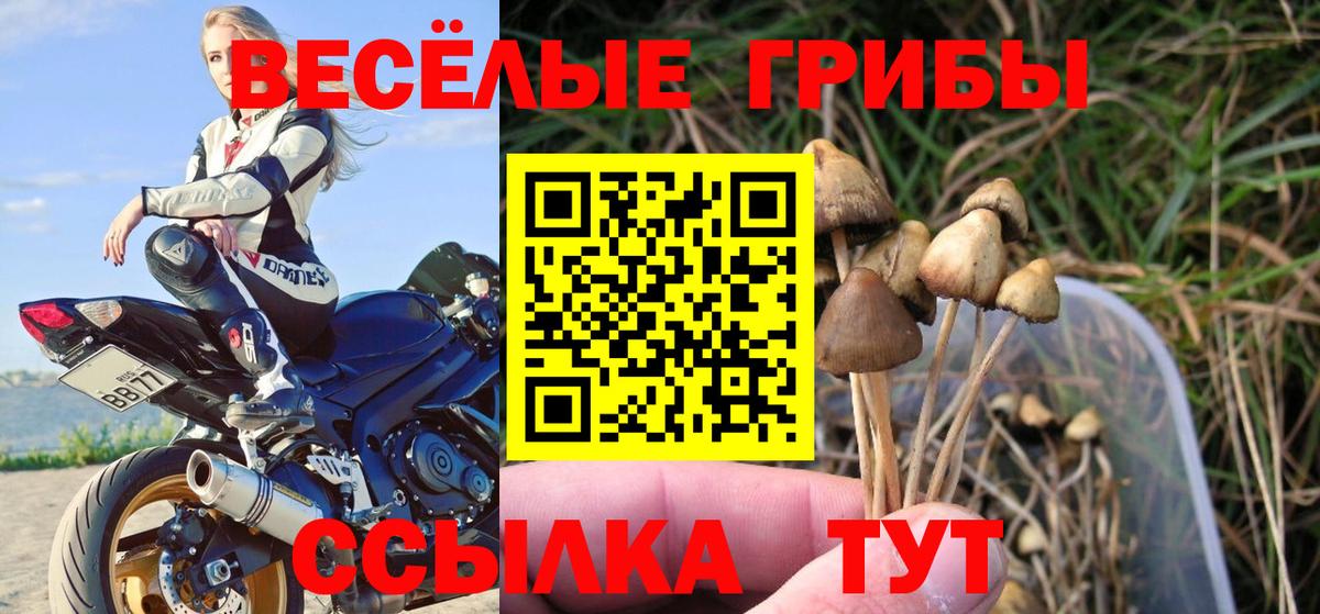 Галлюциногенные грибы MAGIC MUSHROOMS Сертолово