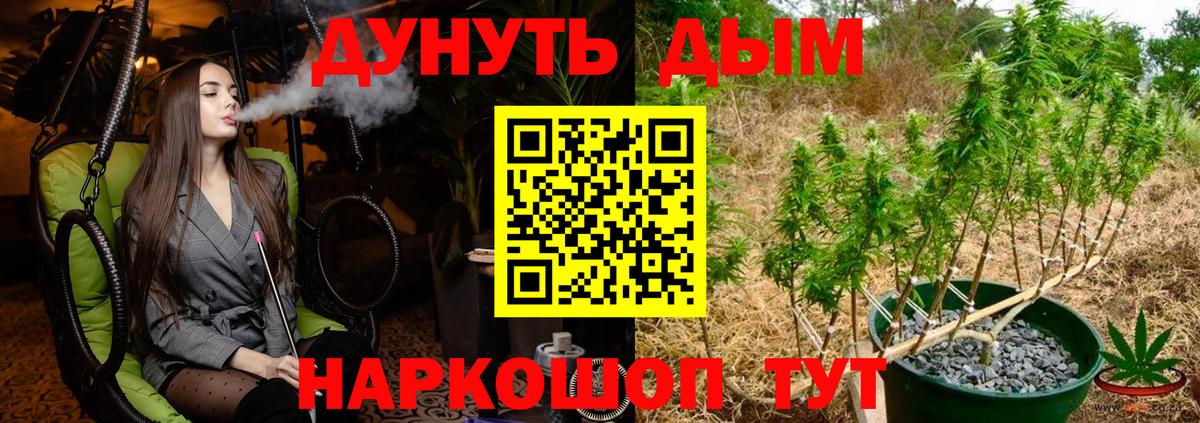 Конопля семена Сертолово